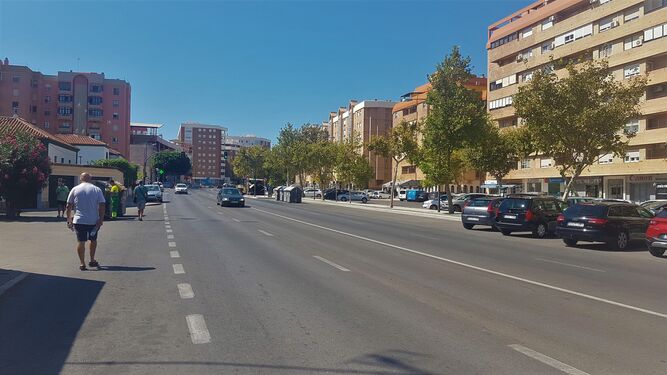 La avenida León Herrero, que ha pasado a convertirse en uno de los principales ejes de circulación de San Fernando.