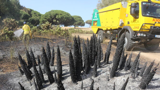 Efectivos del Infoca actúan en un incendio forestal el año pasado en la provincia de Cádiz.