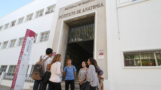 Varios jóvenes reunidos a las puertas de la Facultad de Medicina de la US.