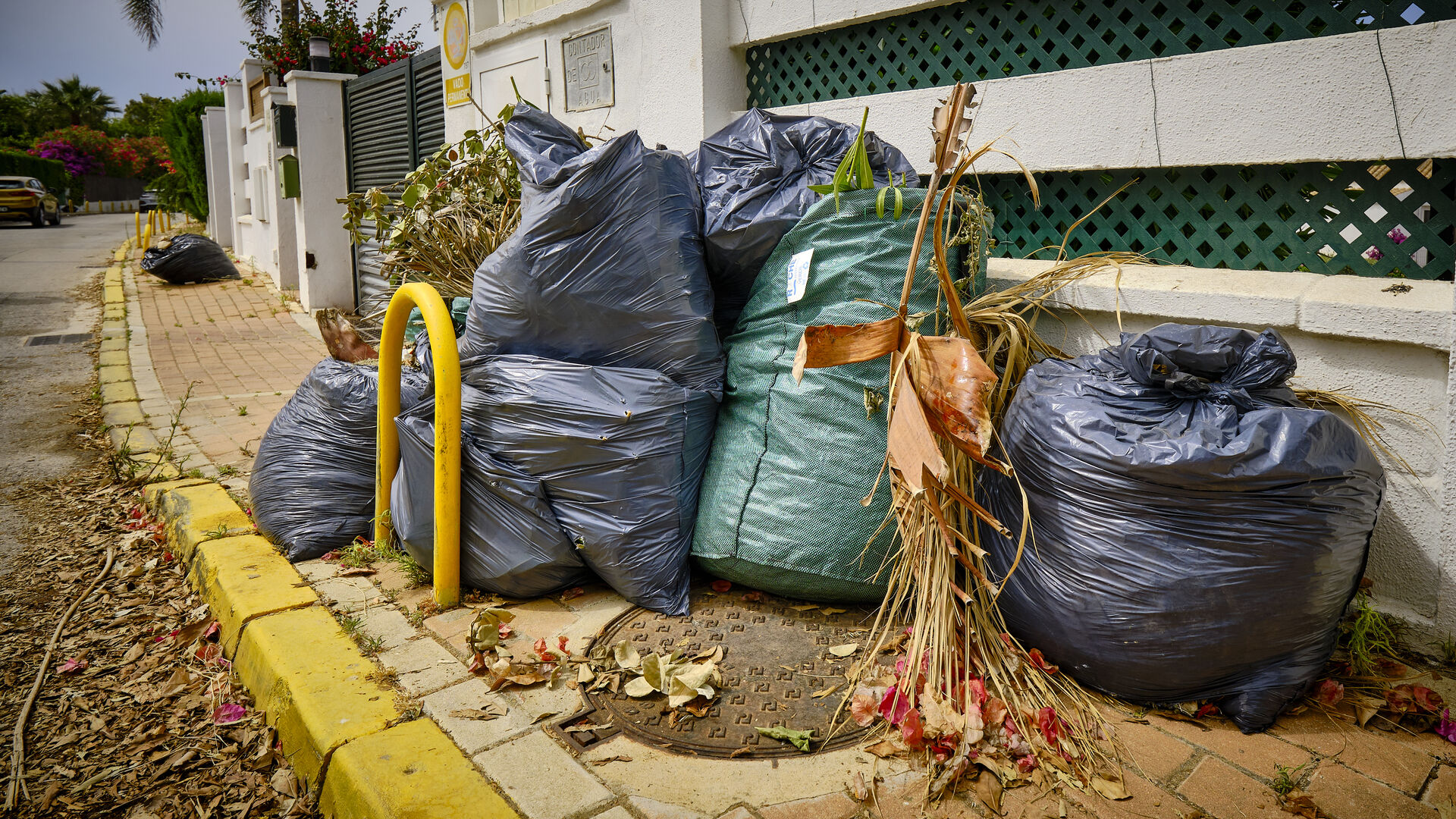 Bolsas de basura y restos de poda, acumuladas en una de las calles de la urbanizaci&oacute;n.