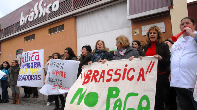 Trabajadores de Brassica protestan en 2013 por el impago de sus nóminas.