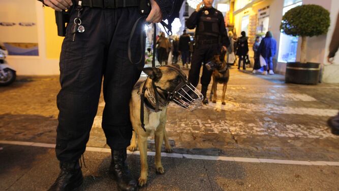 Perros de la Policía Local patrullando por la ciudad durante la campaña de Navidad, en una imagen de archivo.