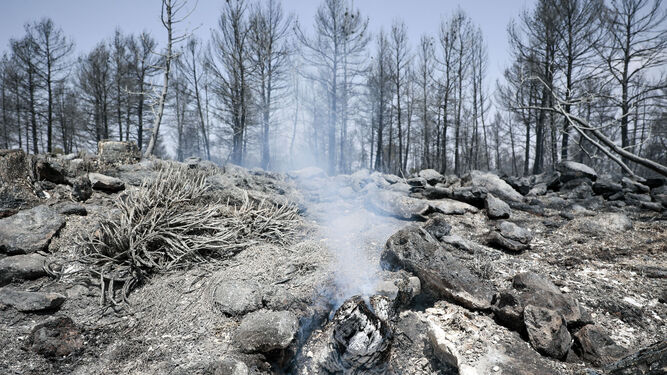 Incendio forestal en Venta del Moro, en el límite entre Valencia y Cuenca.