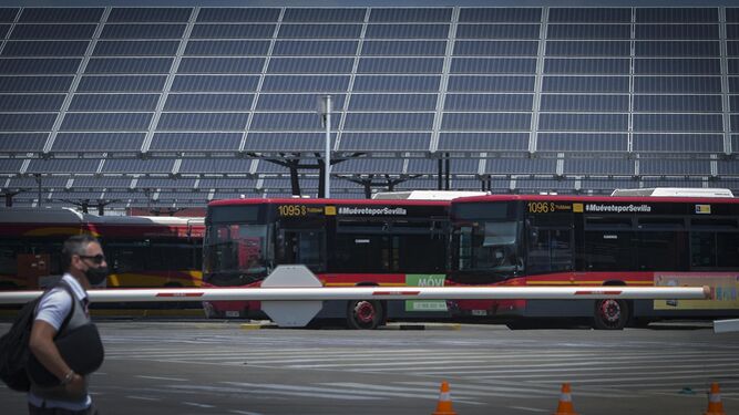 Un autobús de Tussam bajo la planta fotovoltáica que la compañía tienen en su sede