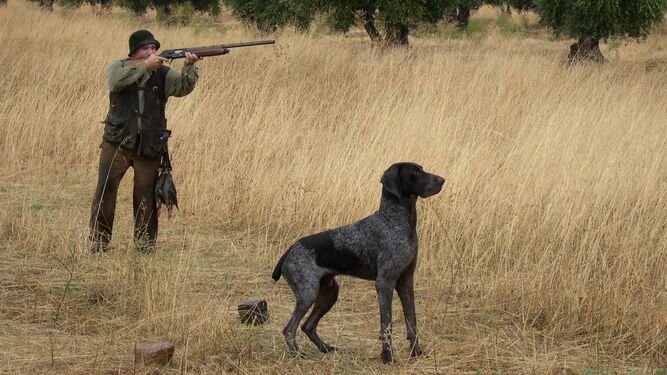 Cazadores acusan al Gobierno de "irresponsable" con el mundo rural con la ley de bienestar animal que "amenaza" la caza