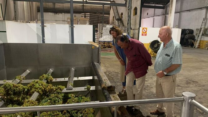 El alcalde de Chiclana visita la Cooperativa de Viticultores con el inicio de la vendimia