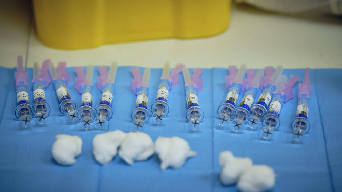 Vacunas de la gripe preparadas en la campaña del año pasado.