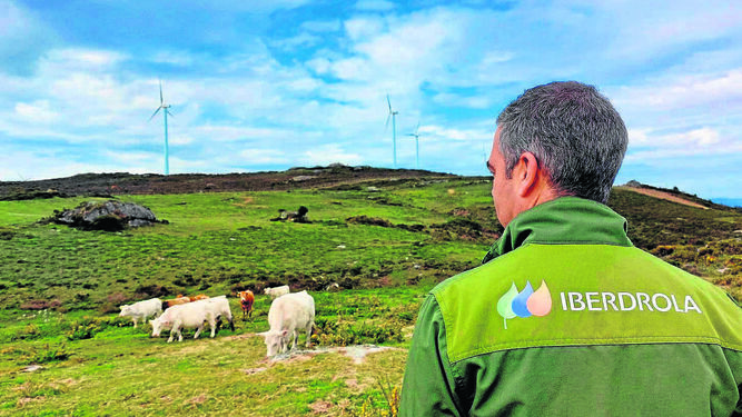 Agricultura y ganadería, las bases de la energía renovable