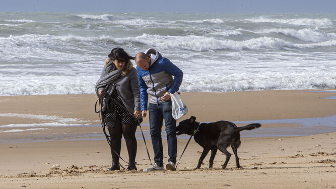 Una pareja pasea con su perro en una playa de Cádiz.