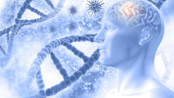 La nueva teoría del Alzheimer, ¿una enfermedad autoinmune o neurodegenerativa?