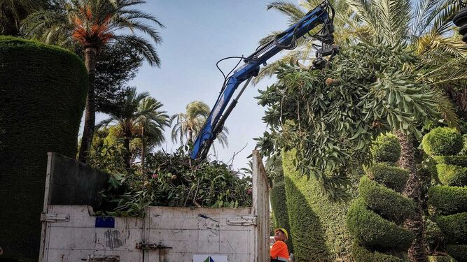 Una grúa de la concesionaria de parques y jardines retira la rama del árbol que se ha caído en el parque Genovés