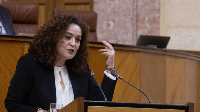 Inma Nieto en su intervención en el debate de esta tarde en el Parlamento de Andalucía.
