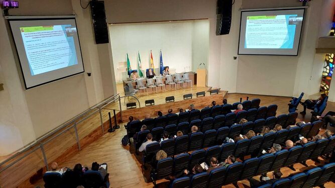 Jornadas informativa sobre el proyecto de presupuestos en la Diputación.