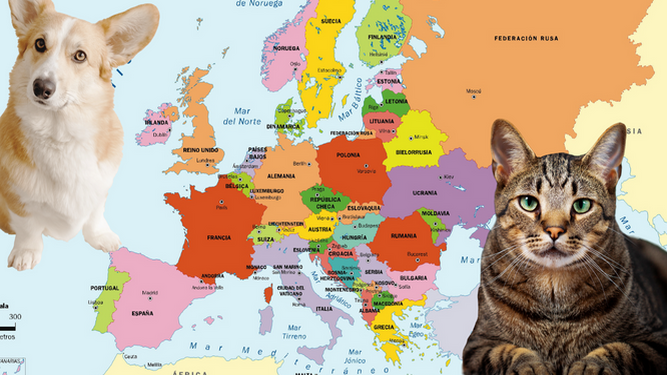 Estas son las mascotas más populares en los diferentes países europeos en 2022