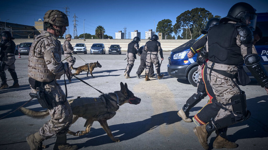 Maniobras Canex con unidades caninas de las Fuerzas Armadas, Polic&iacute;a y Guardia Civil