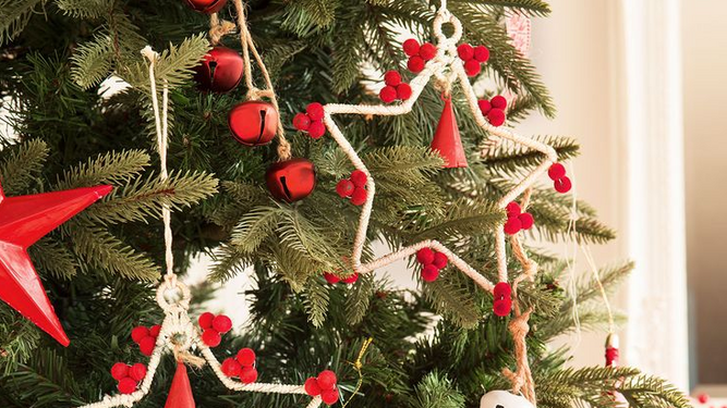 Seis árboles de Navidad para decoración original y sostenible.