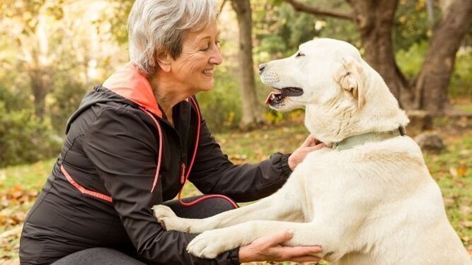 Un estudio afirma que tener perro mejora tu humor y salud mental