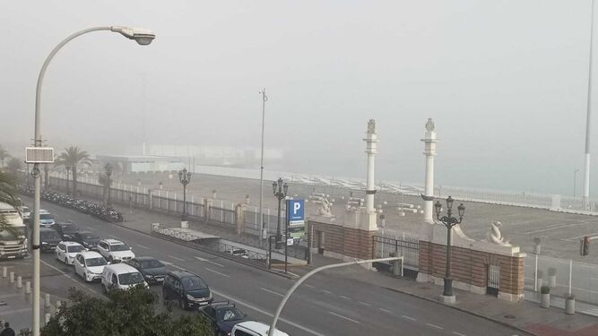 El puerto de Cádiz, cubierto por la niebla.