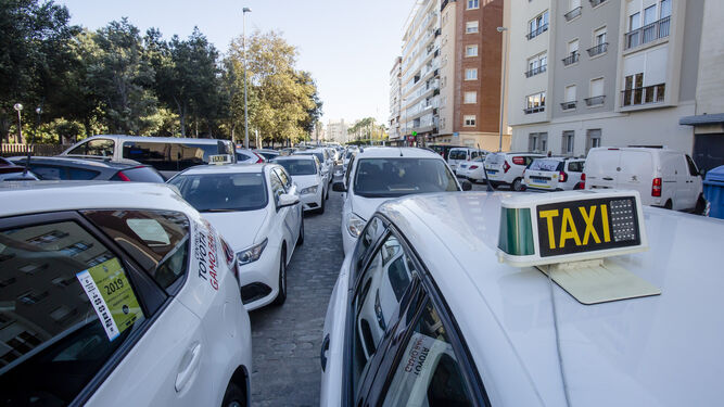 Una concentración de taxistas en las calles gaditanas.