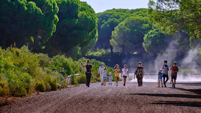Un grupo paseando por uno de los Parques Naturales de Cádiz