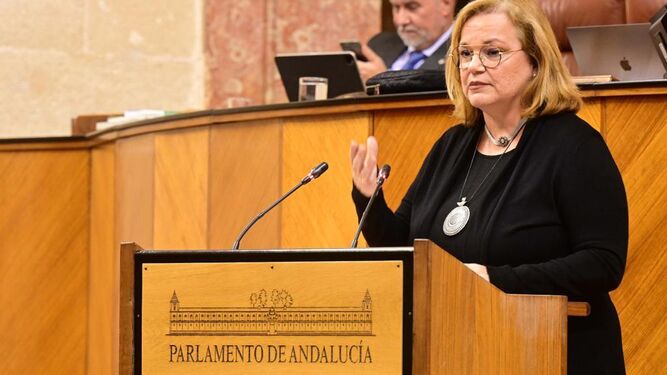 María José de Alba interviene en un pleno del Parlamento de Andalucía.