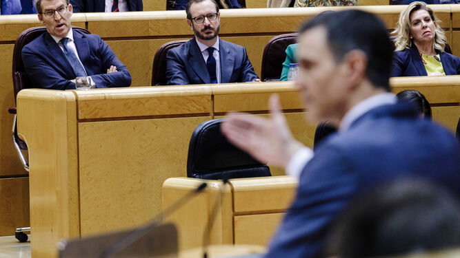 Feijóo escucha la intervención de Pedro Sánchez en el Senado este martes.