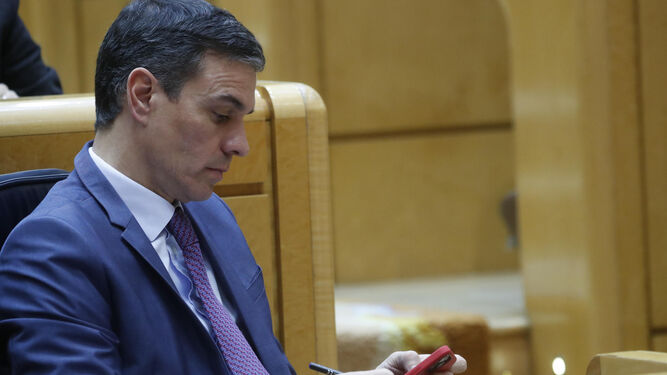 Pedro Sánchez, el martes pasado, en el Senado.