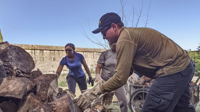 Militares de la Base de Rota hacen labores de jardinería en la Cartuja de Jerez