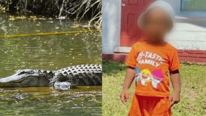 Encuentran el cuerpo de un niño de dos años en la boca de un caimán