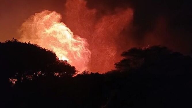 Incendio forestal en Tarifa en el paraje de San Bartolomé.