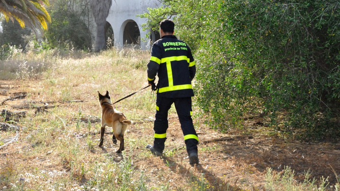 Un bombero realiza prácticas con un perro en los antiguos terrenos de Delphi.