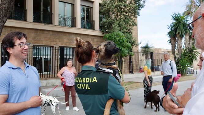 Una guardia civil lleva a uno de los perros durante la presentación de la campaña.
