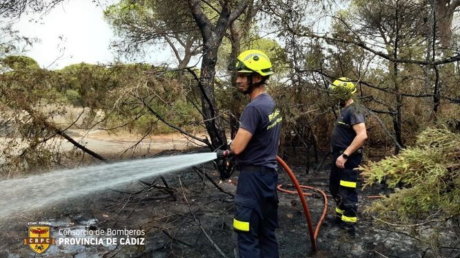 Los bomberos han tenido que intervenir de nuevo en la zona del Coto de la Isleta.