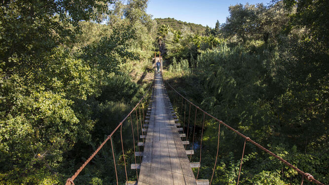 Puente colgante en San Martín del Tesorillo