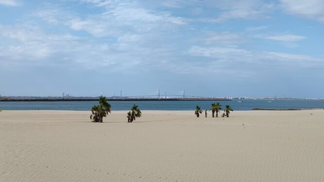La playa de La Puntilla, donde falleció el hombre en la tarde de este martes.