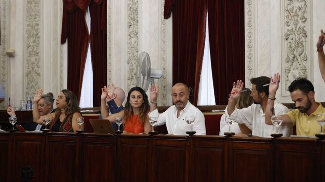 El grupo municipal del PSOE, en el Pleno del Ayuntamiento de Cádiz.