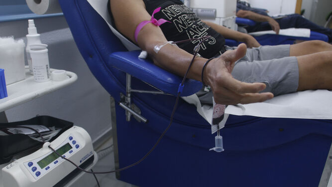 Imagen de archivo de una persona donando sangre.