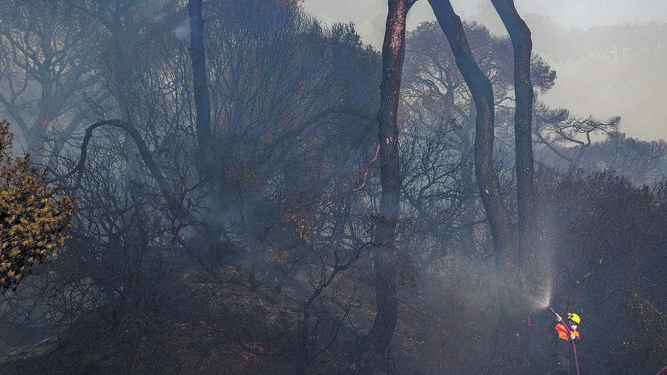 Un bombero refresca con agua un enclave del parque de Las Canteras asolada por las llamas.