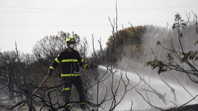 Un bombero, trabajando en la extinción del incendio.