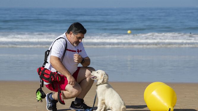 Chui, el primer perro socorrista de España