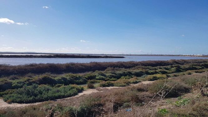 El Plan Especial Supramunicipal del entorno del río Guadalete mejorará espacios medioambientales en El Puerto.