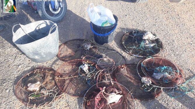 Incautados 13 kilos de cangrejos y material para el marisqueo en Puerto Real.