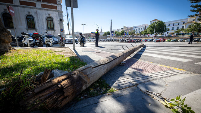 El poste eléctrico caído sobre la calzada en la Plaza de Sevilla.