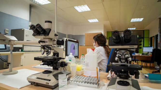 Imagen de un laboratorio de investigación biomédica.