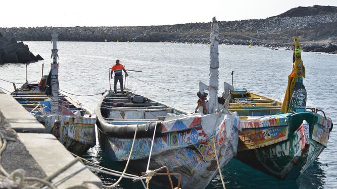 Tres cayucos que han arribado con migrantes en las islas Canarias