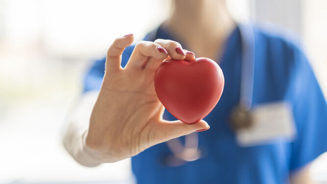 Las enfermedades cardiovasculares son la principal causa de defunción en el mundo.