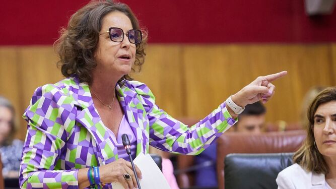 La consejera de Salud, Catalina García, durante una comparecencia en el Parlamento.