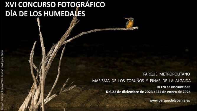 Cartel anunciador del XVI Concurso Fotográfico del Día de los Humedales.