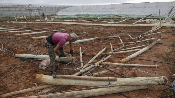 Un trabajador repara parte de los invernaderos en Chipiona tras el paso de Bernard.