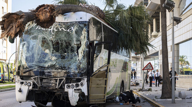 La imagen del autobús destrozado y con dos palmeras en su parte superior ya forma parte de la historia más luctuosa de Cádiz.